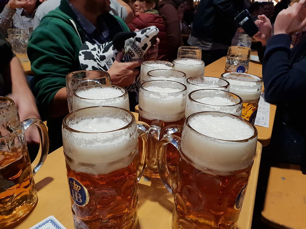 steins